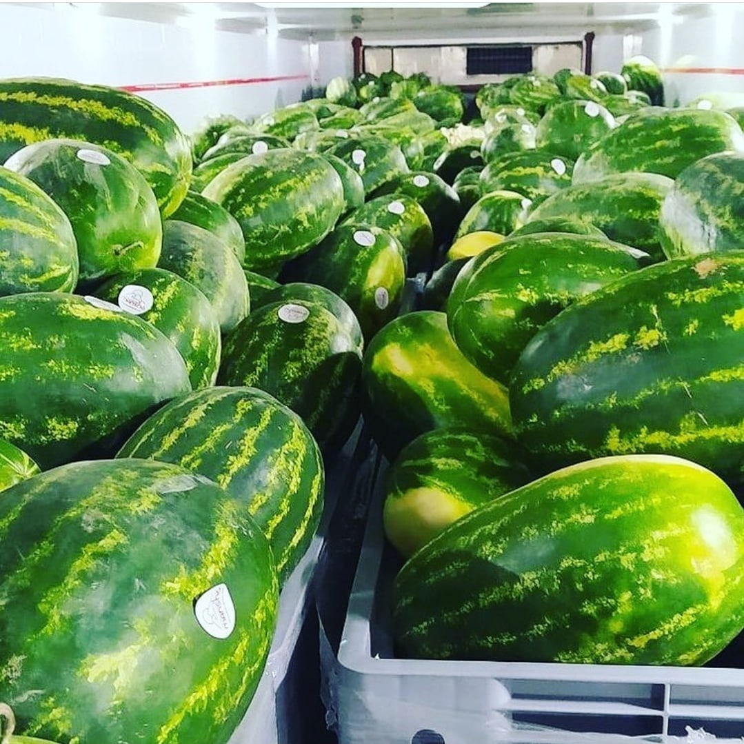 Watermelon