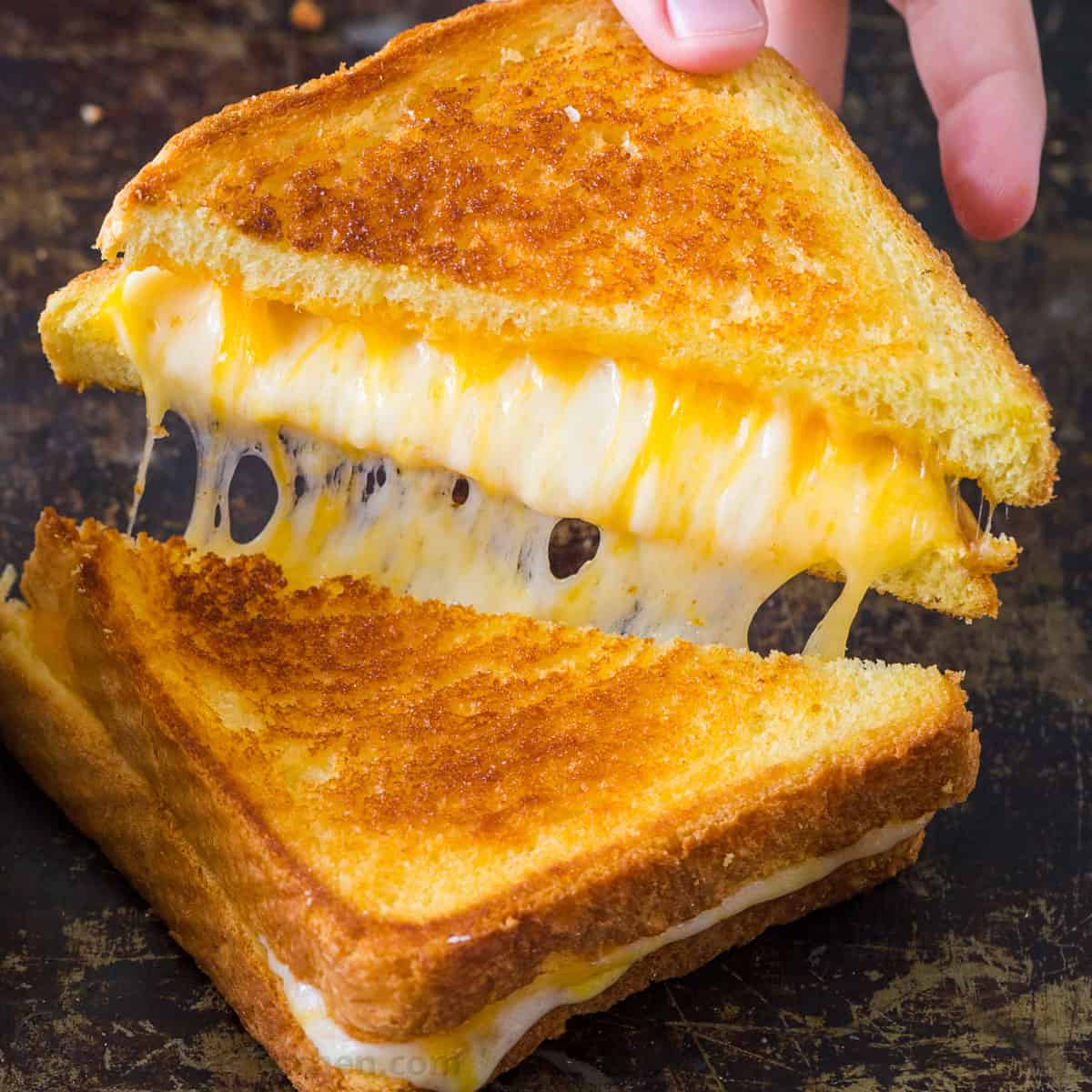sandwich-ranglapunjab-grobizzz.in-1